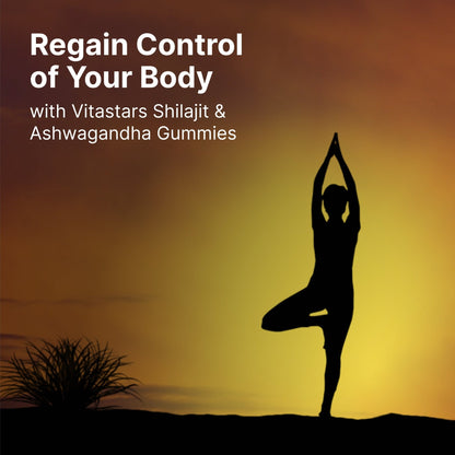 Stars Work. Life. Balance. Shilajit & Ashwagandha Gummies + Chaga Mushroom Vitamin D2 & B12 - Vegan America