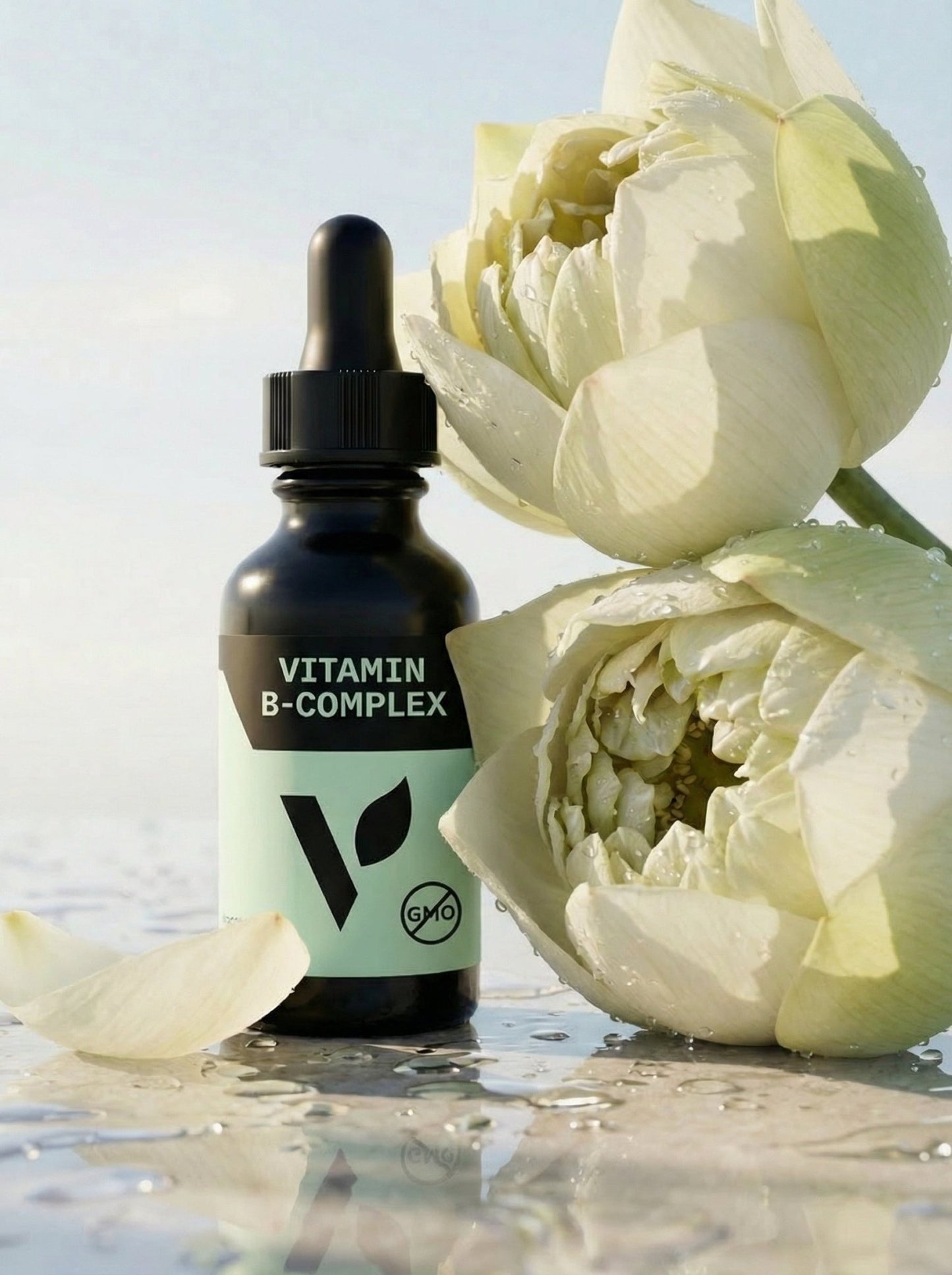Vitamin B - Complex - Vegan America