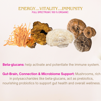 Organic Mushroom Powder Bundle | Chaga, Reishi, Cordyceps, & Lion's Mane Superfoods - Vegan America