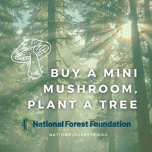 Plant a Tree for Mini Mushroom