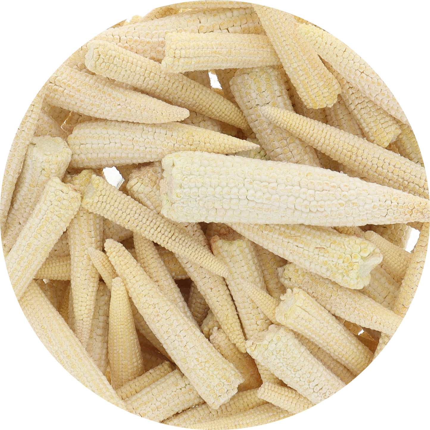 Freeze Dried Baby Corn