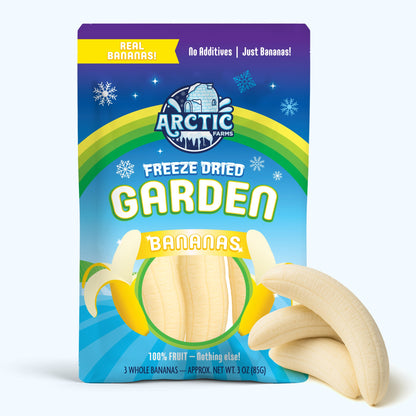 Freeze Dried Whole Bananas