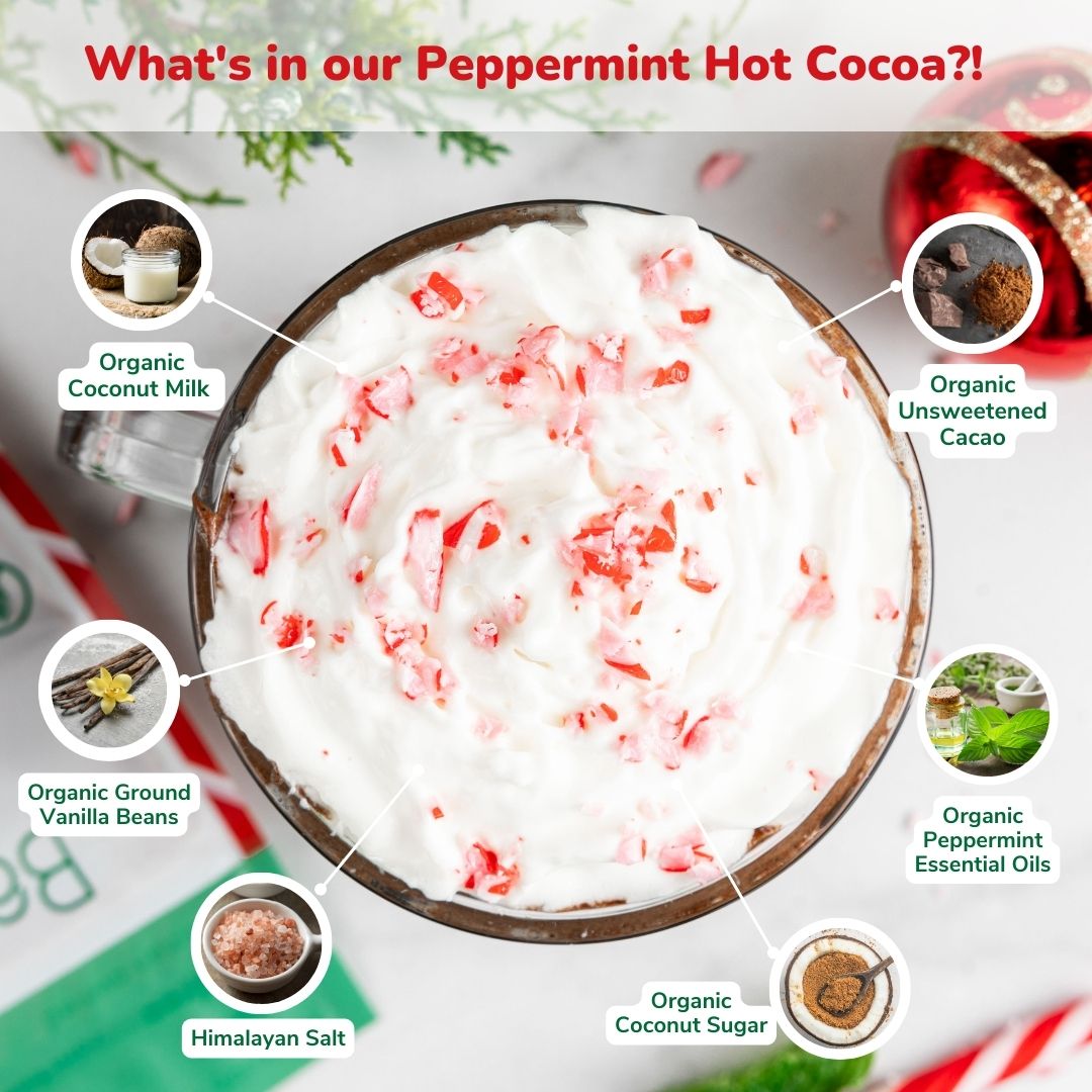 Instant Dairy Free Peppermint Hot Cocoa Mix | Single Serving 5 Pack |Gluten Free, Vegan and Organic - Vegan America