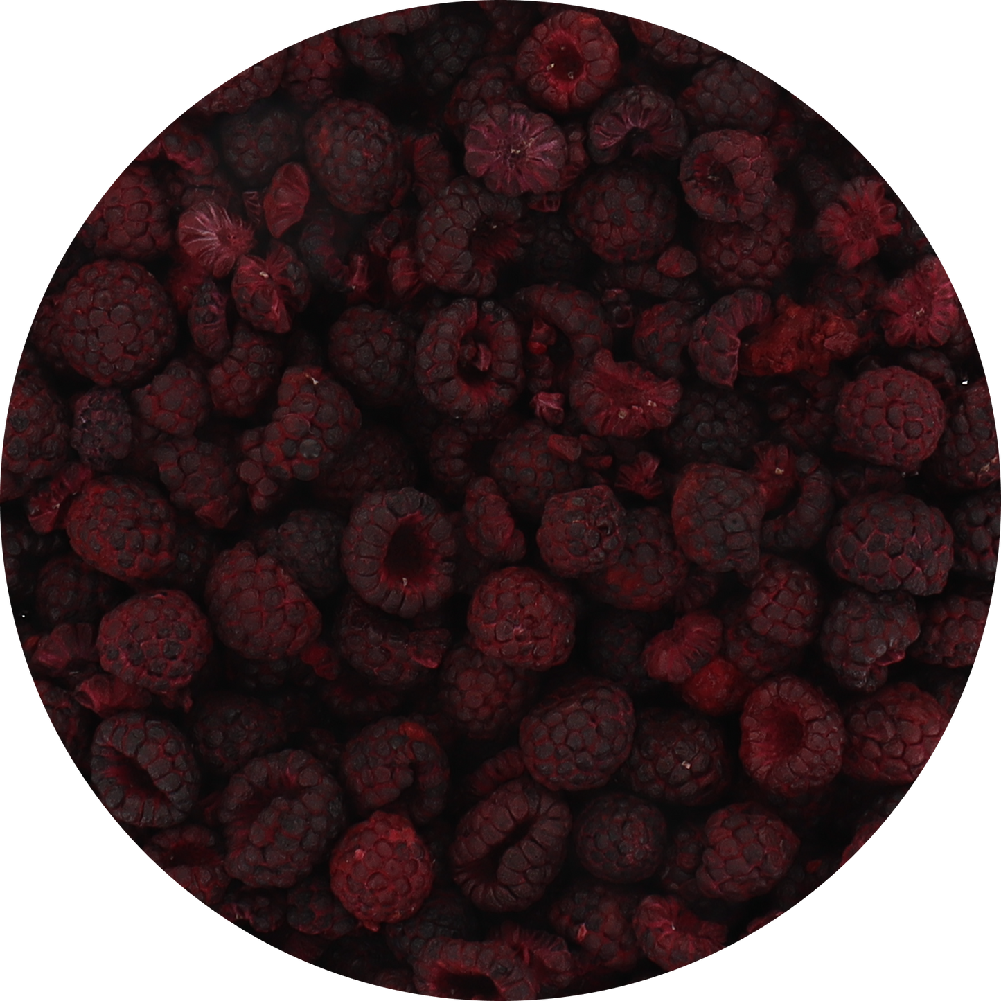 Freeze Dried Black Raspberry