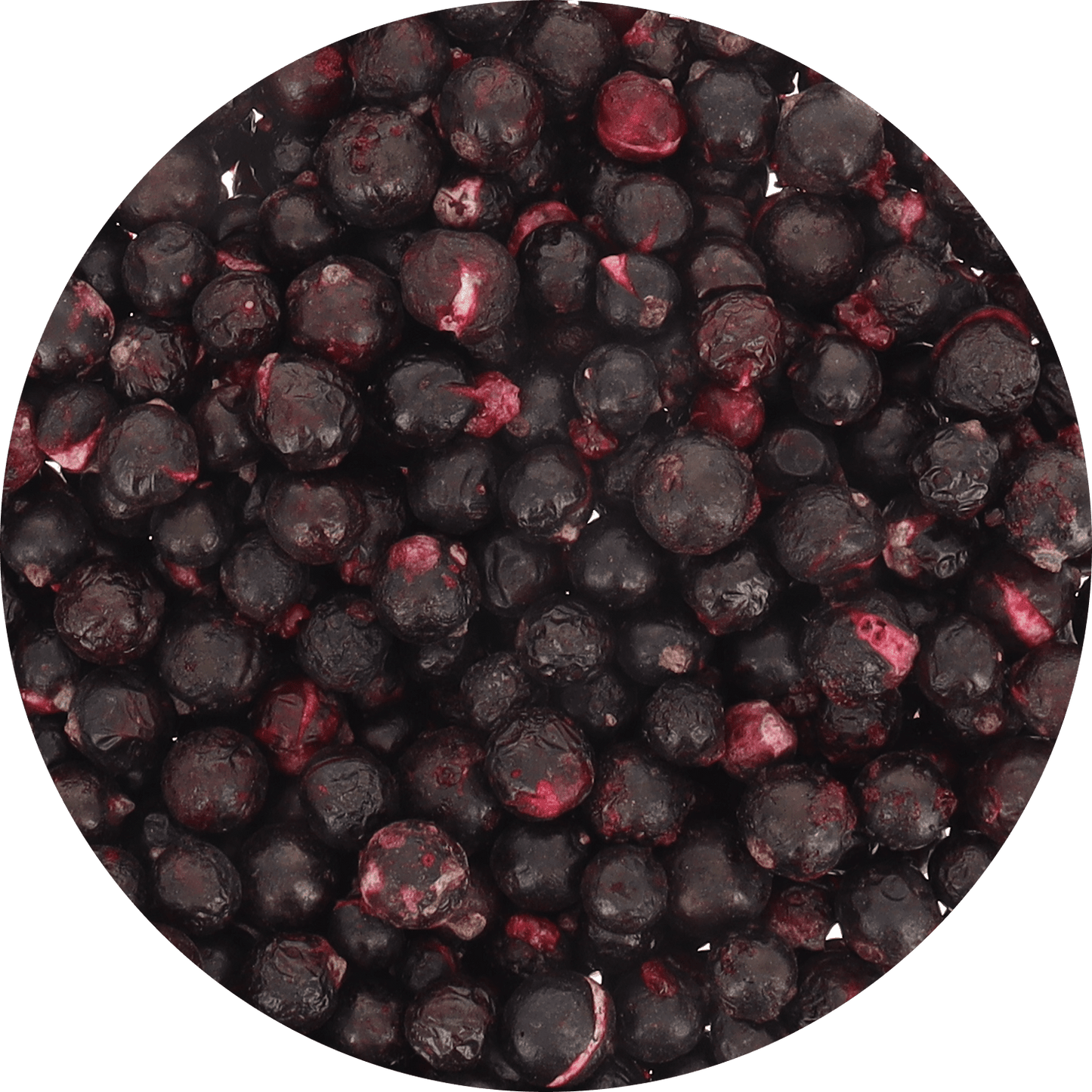 Freeze Dried Organic Black Currant - Vegan America