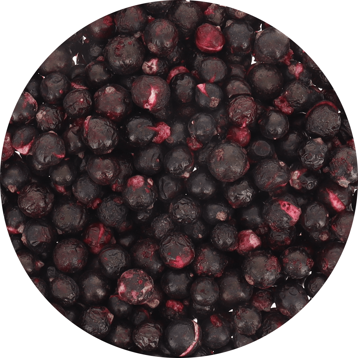 Freeze Dried Organic Black Currant - Vegan America
