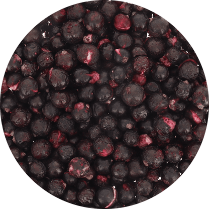 Freeze Dried Organic Black Currant - Vegan America