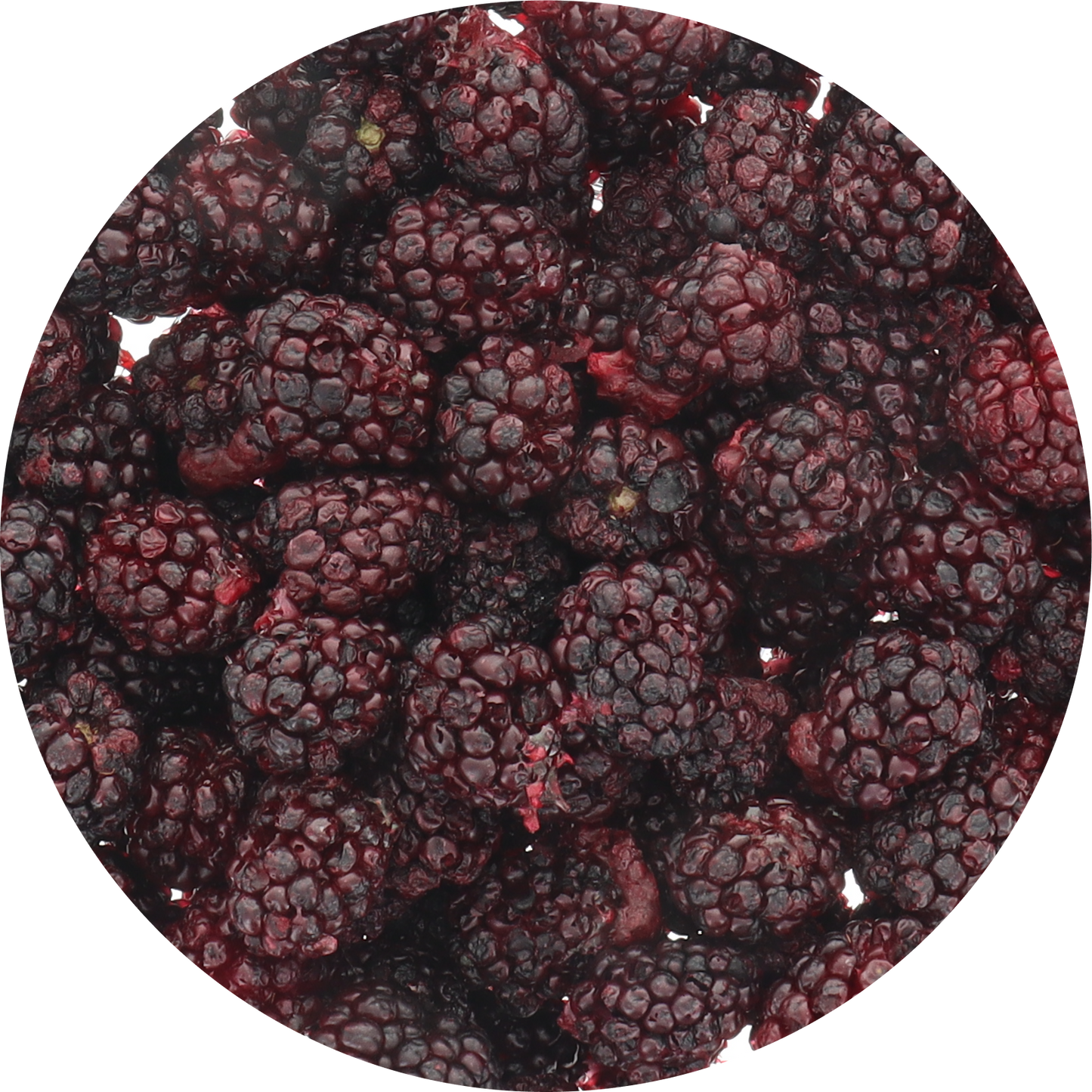 Freeze Dried Blackberry