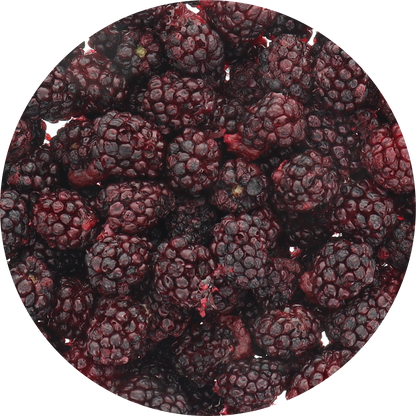 Freeze Dried Blackberry