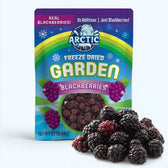 Freeze Dried Blackberry - Vegan America