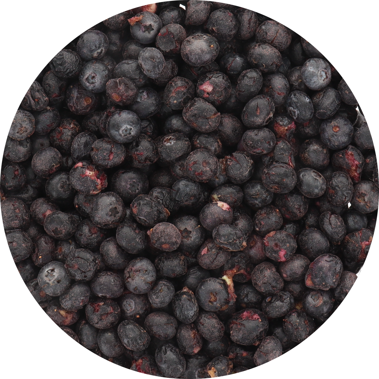 Freeze Dried Blueberries