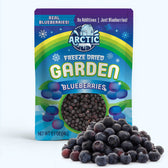 Freeze Dried Blueberries - Vegan America