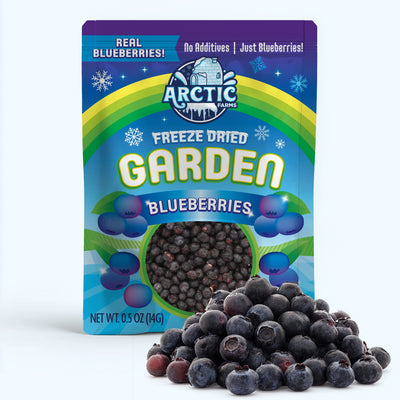 Freeze Dried Blueberries - Vegan America
