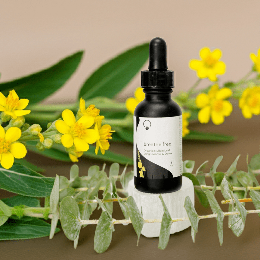 Breathe Free Lung Cleanse & Detox