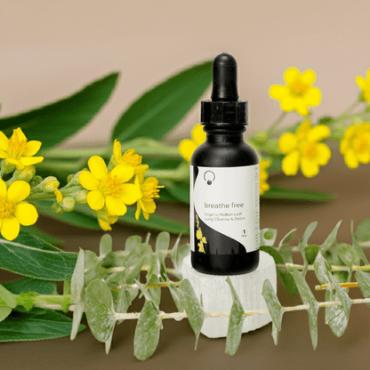 Breathe Free Lung Cleanse & Detox
