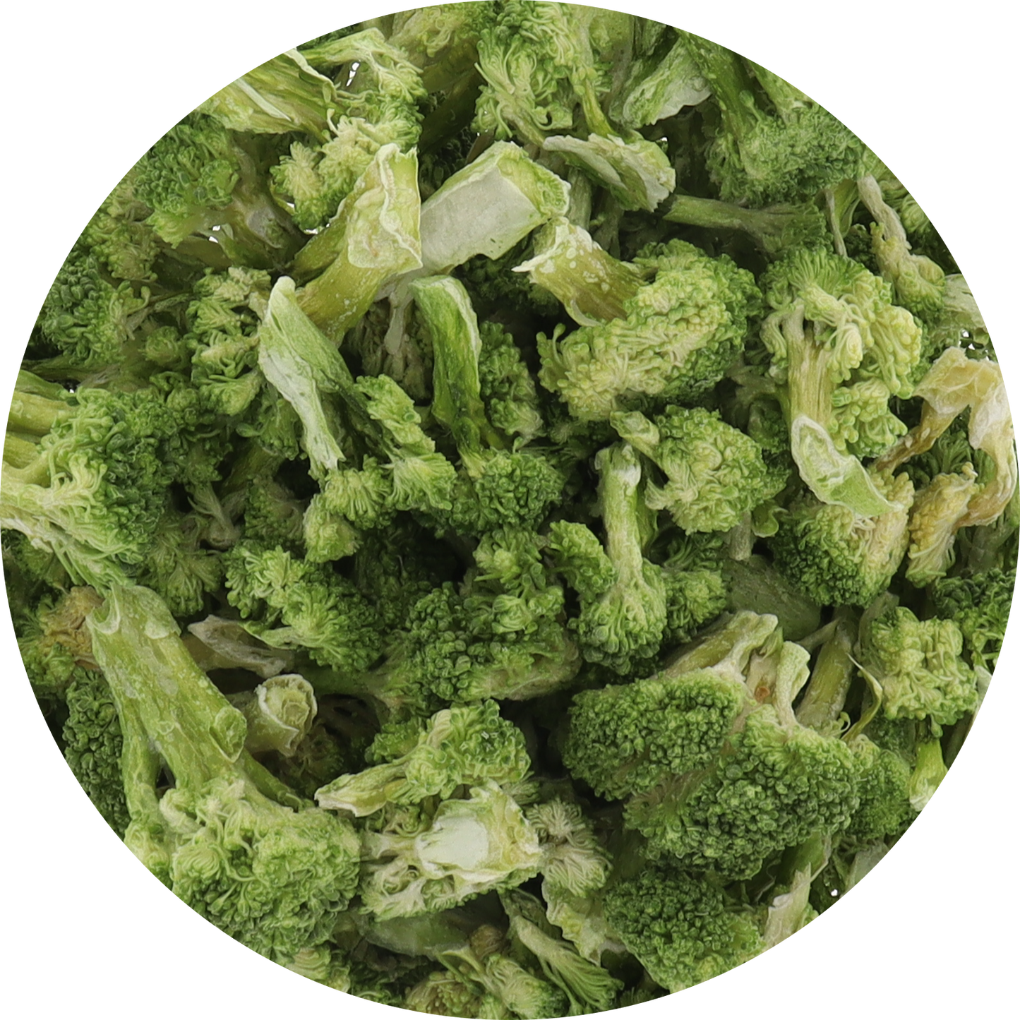 Freeze Dried Broccoli