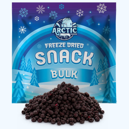 Freeze Dried Wild Bilberries - Vegan America