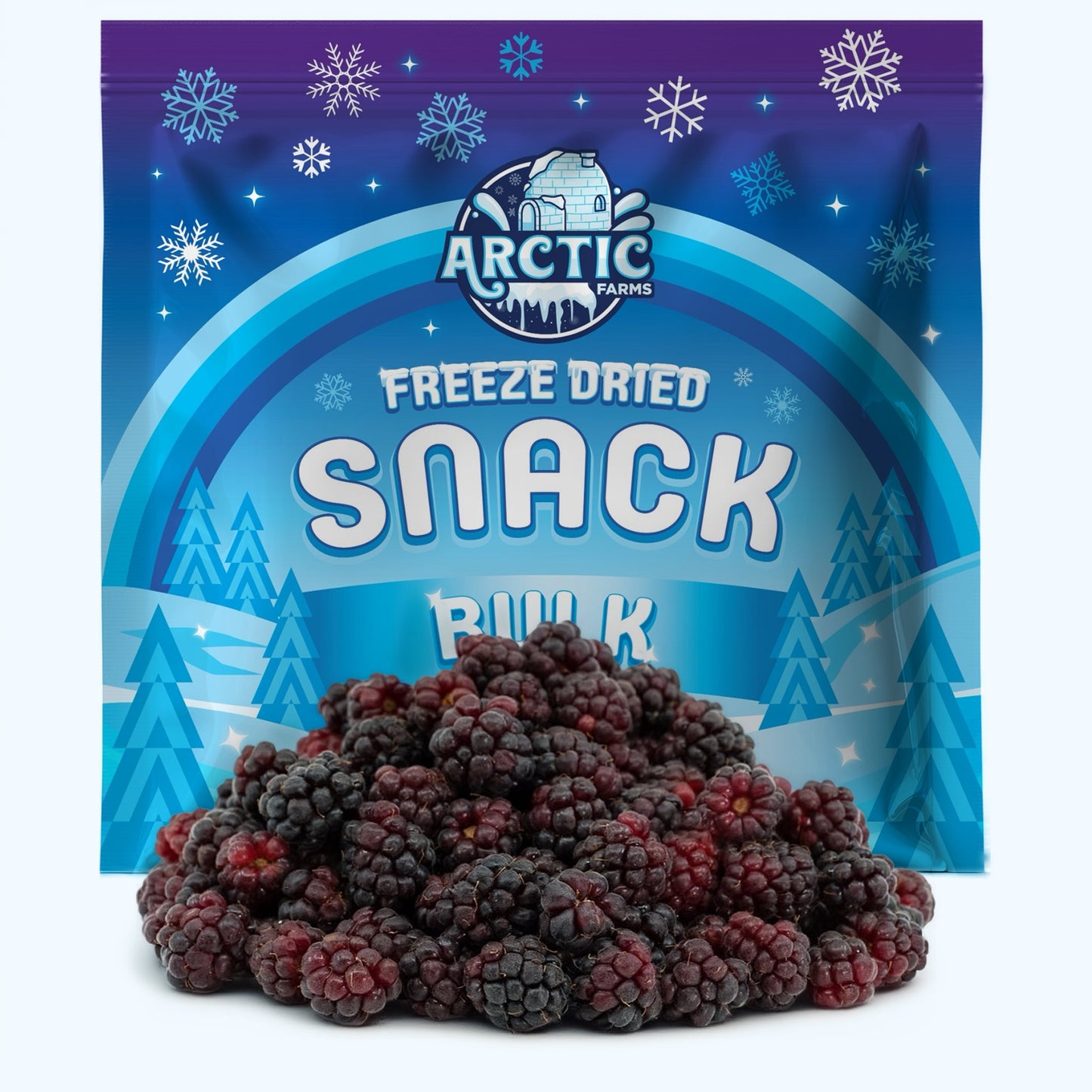 Freeze Dried Boysenberry