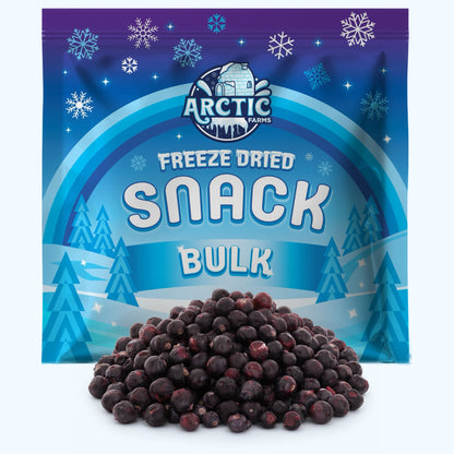 Freeze Dried Organic Black Currant - Vegan America