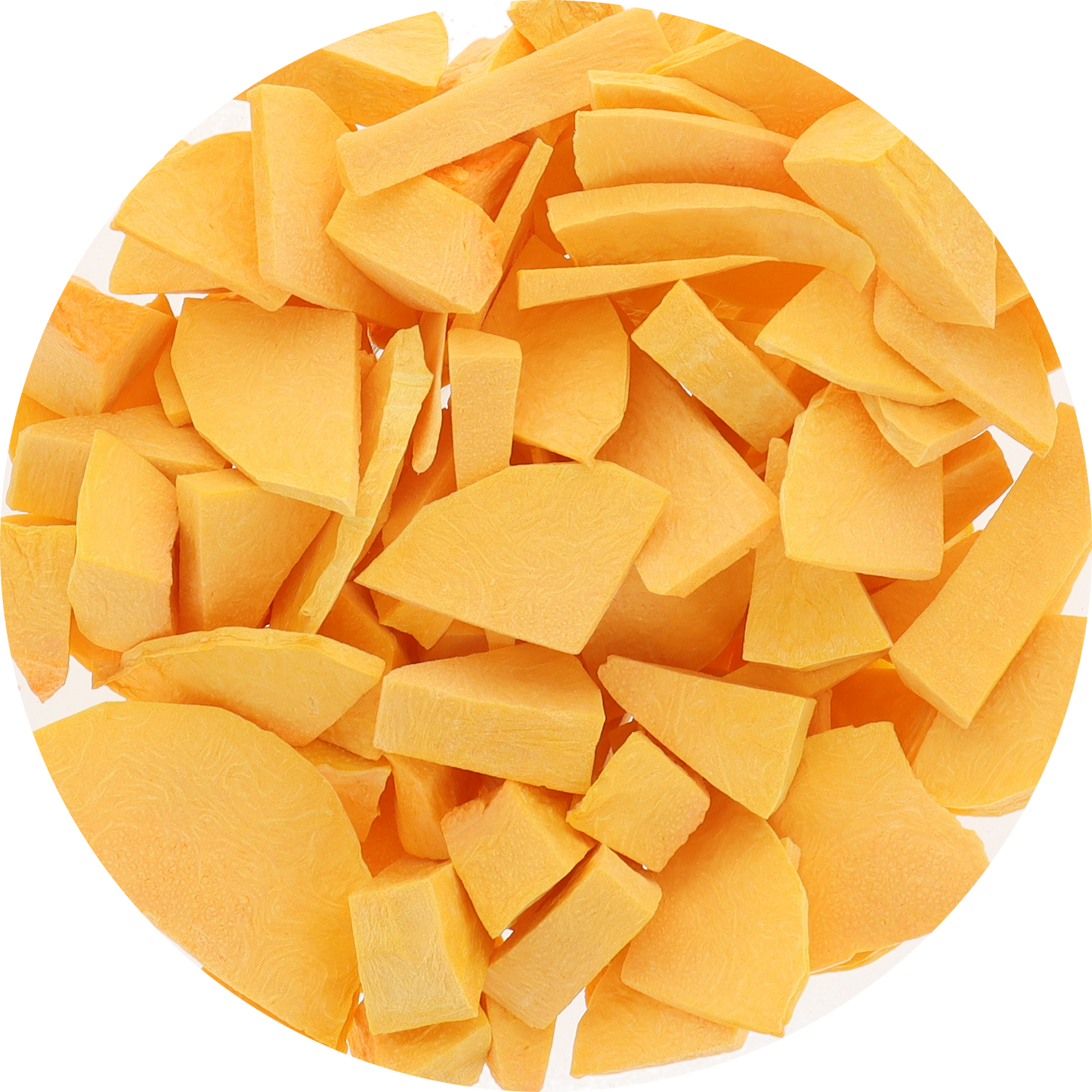 Freeze Dried Butternut Squash