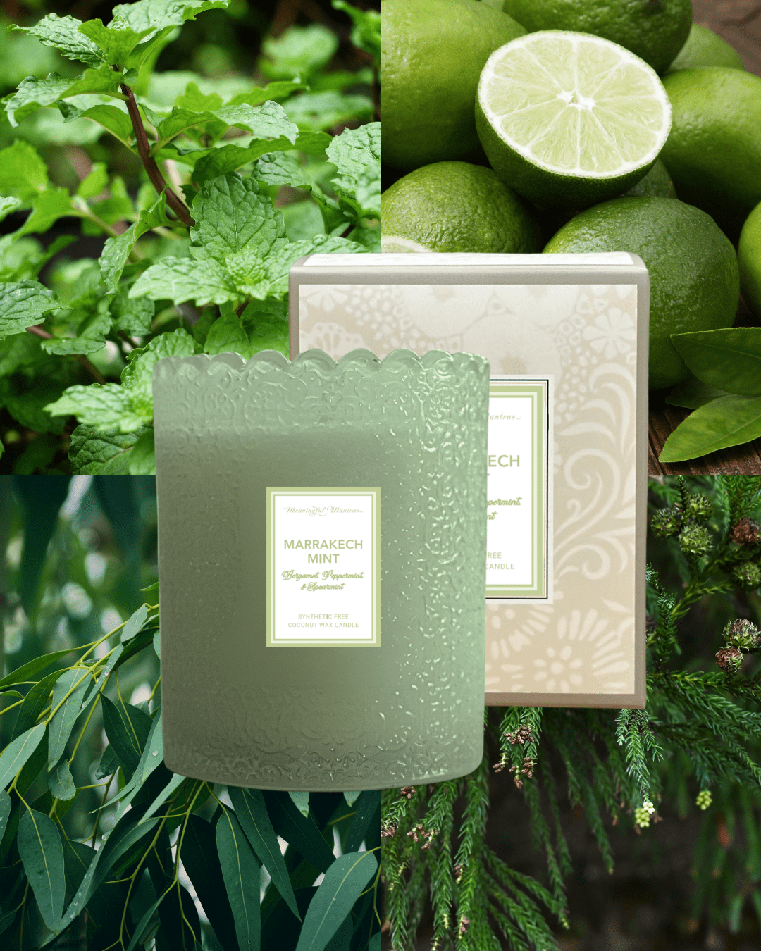 Marrakech Mint Natural Candle 8oz Kaia Collection - Vegan America