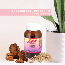Organic Chaga Mushroom Capsules |60 Count - Vegan America
