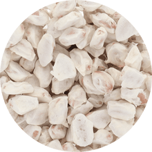 Freeze Dried Cacao Fruit - Vegan America