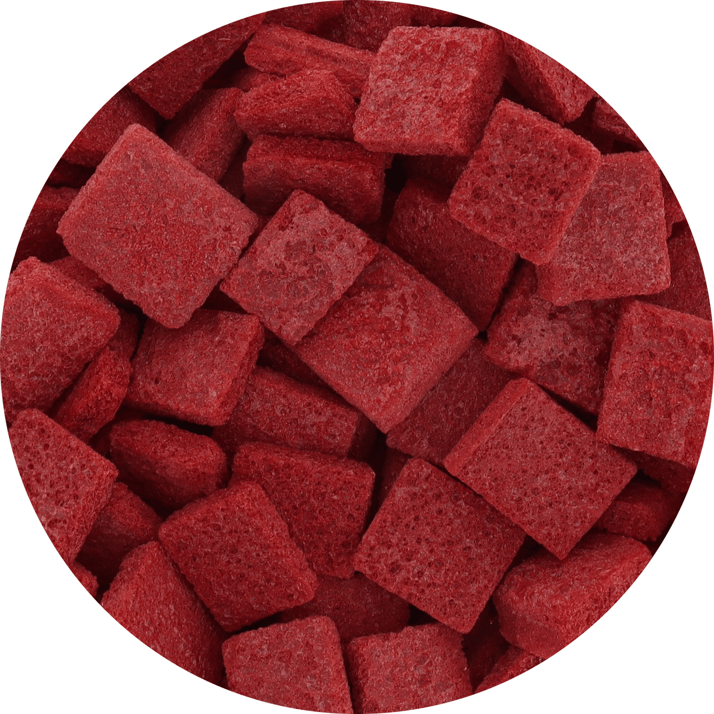 Freeze Dried Cactus Fruit (Prickly Pear)