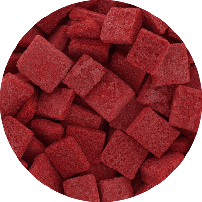 Freeze Dried Cactus Fruit (Prickly Pear)