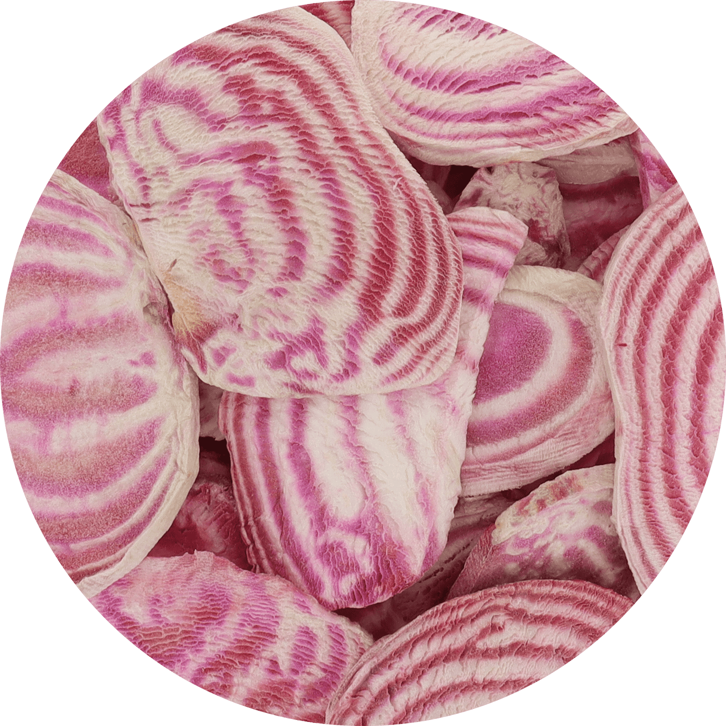 Freeze Dried Candy Cane Beet Chips - Vegan America