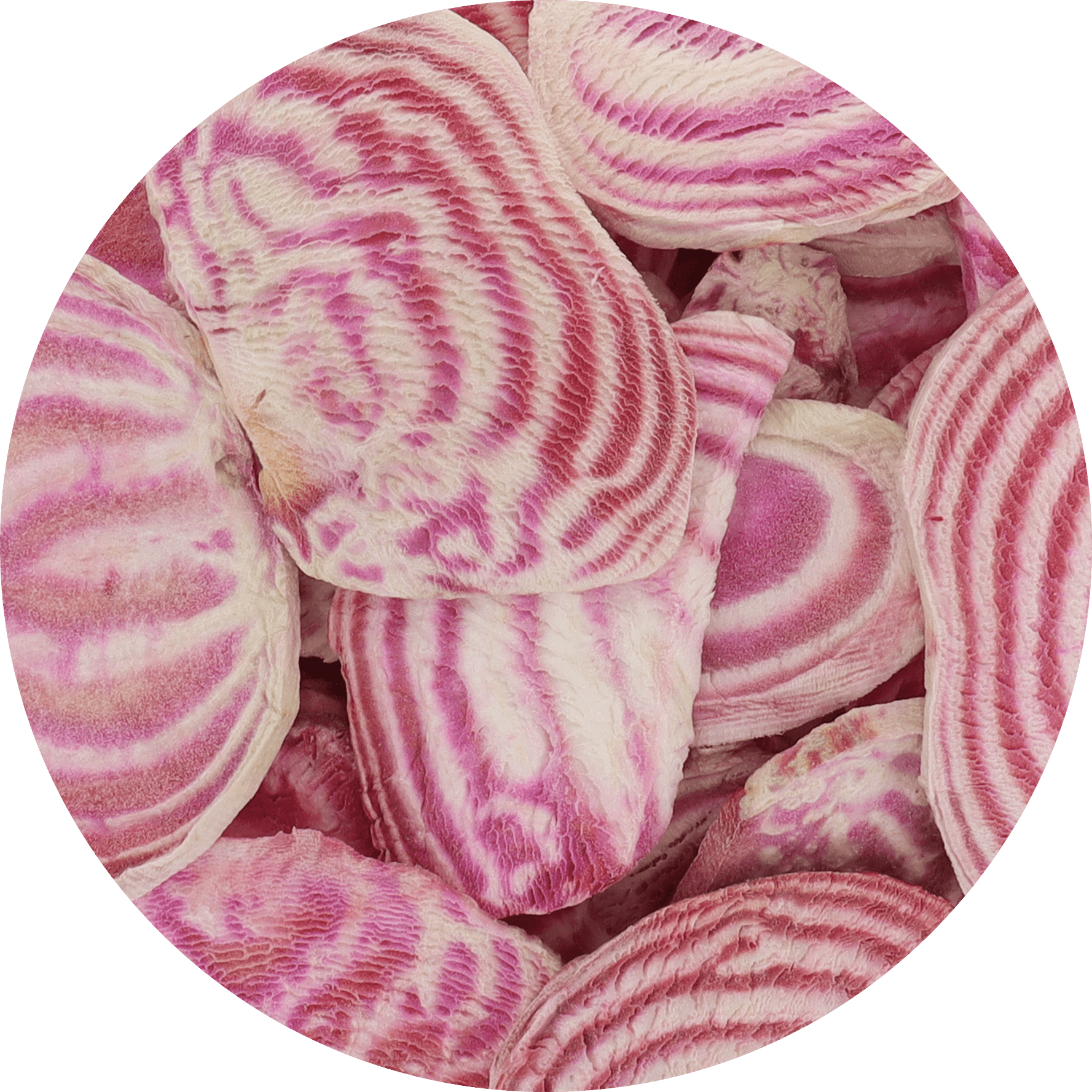 Freeze Dried Candy Cane Beet Chips - Vegan America