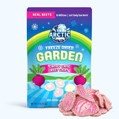 Freeze Dried Candy Cane Beet Chips - Vegan America
