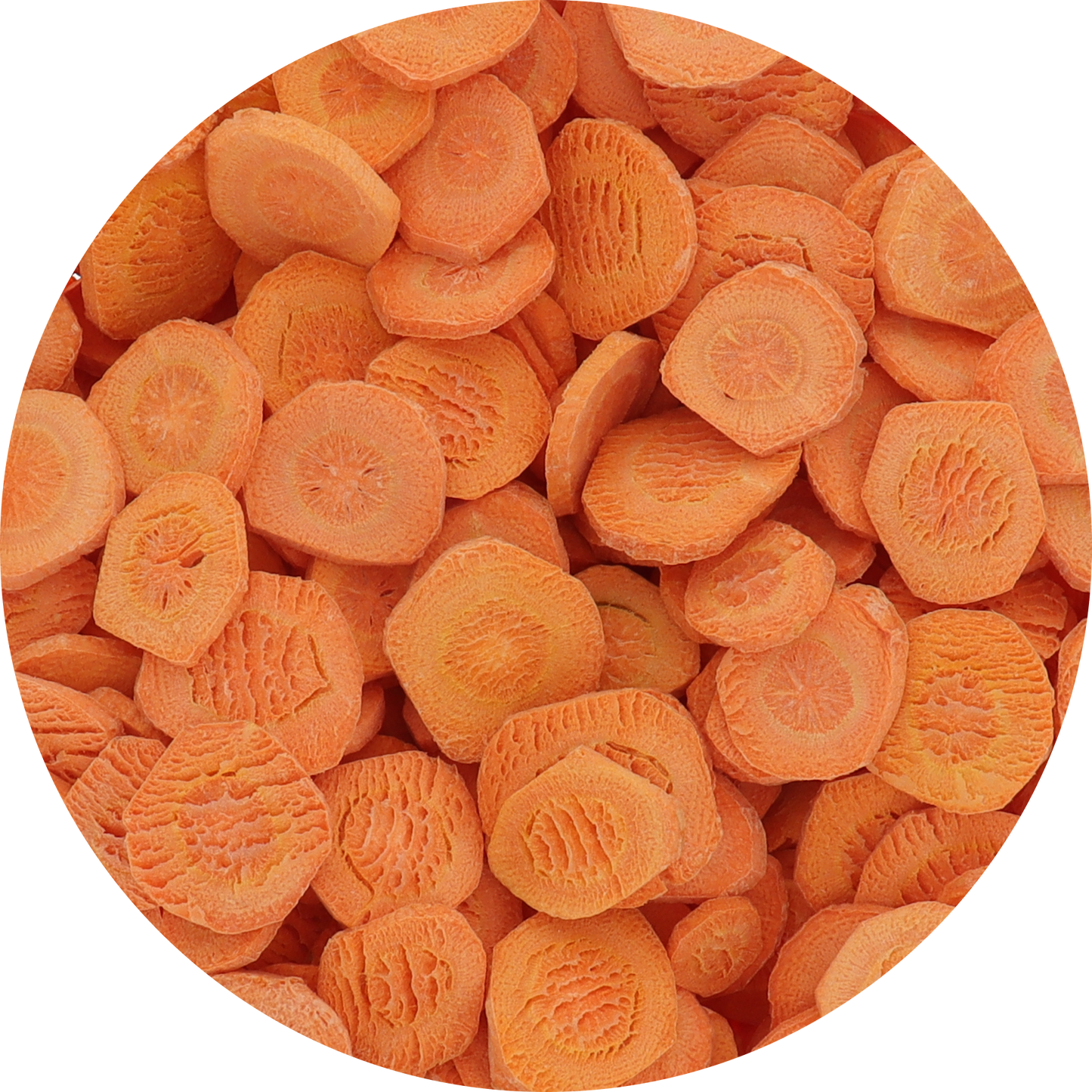 Freeze Dried Carrot Chips
