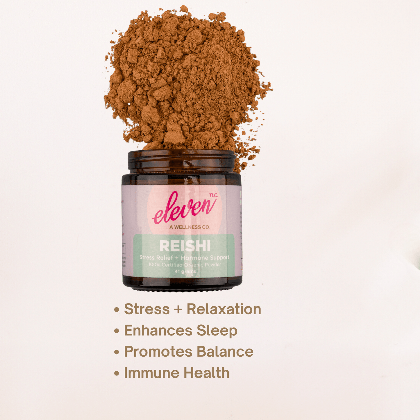 Organic Mushroom Powder Bundle | Chaga, Reishi, Cordyceps, & Lion's Mane Superfoods - Vegan America