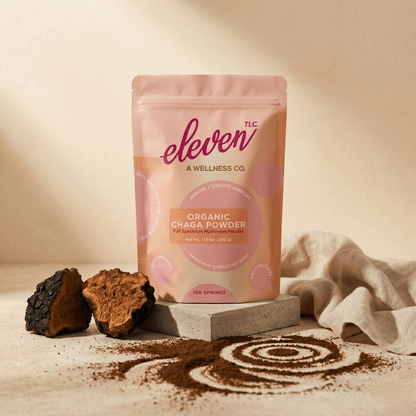 Organic Chaga Mushroom Powder — Foodservice 500g - Vegan America