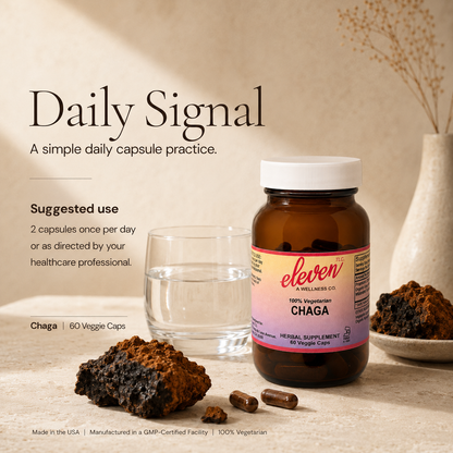 Organic Chaga Mushroom Capsules | Immune Support | 60 Count