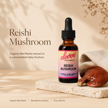 Reishi Mushroom Tincture | Calm & Immune | 1 oz
