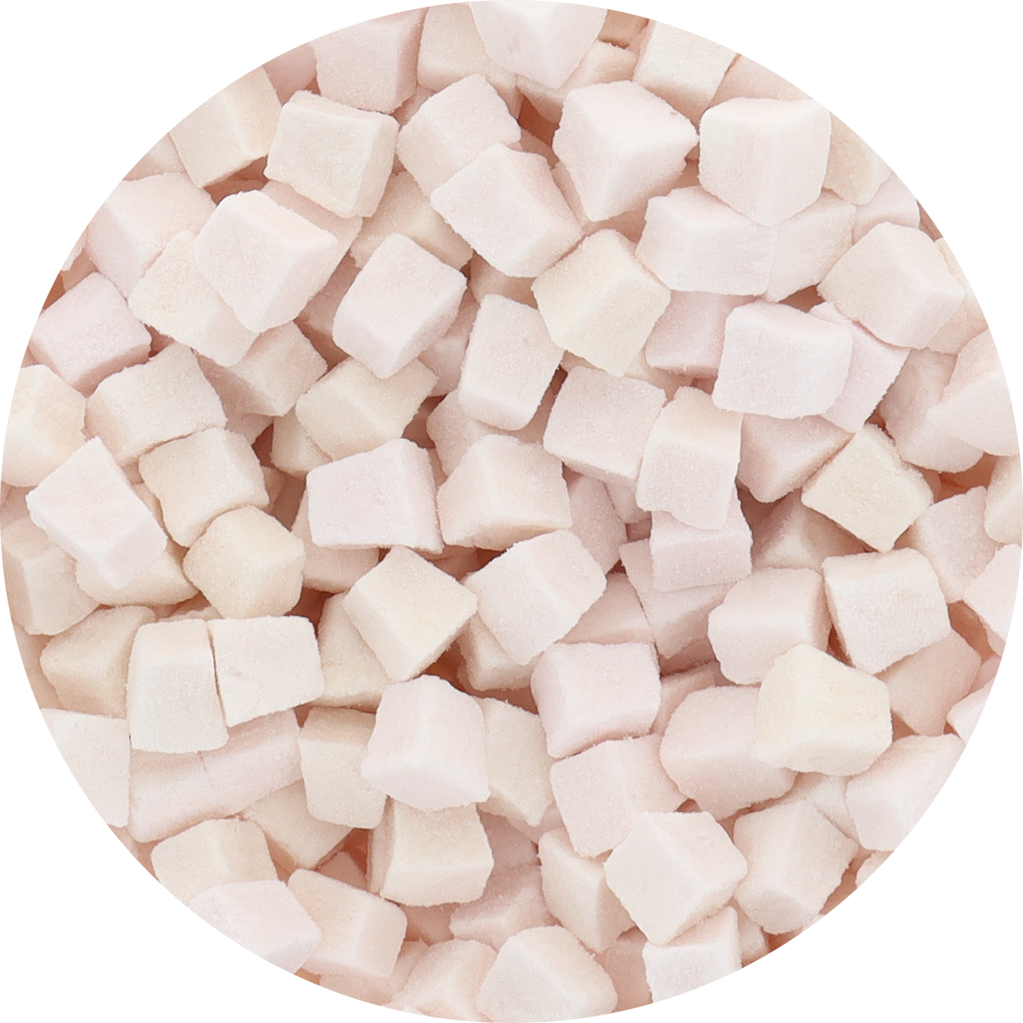 Freeze Dried Coconut