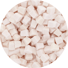 Freeze Dried Coconut Cubes - Vegan America