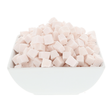 Freeze Dried Coconut Cubes - Vegan America