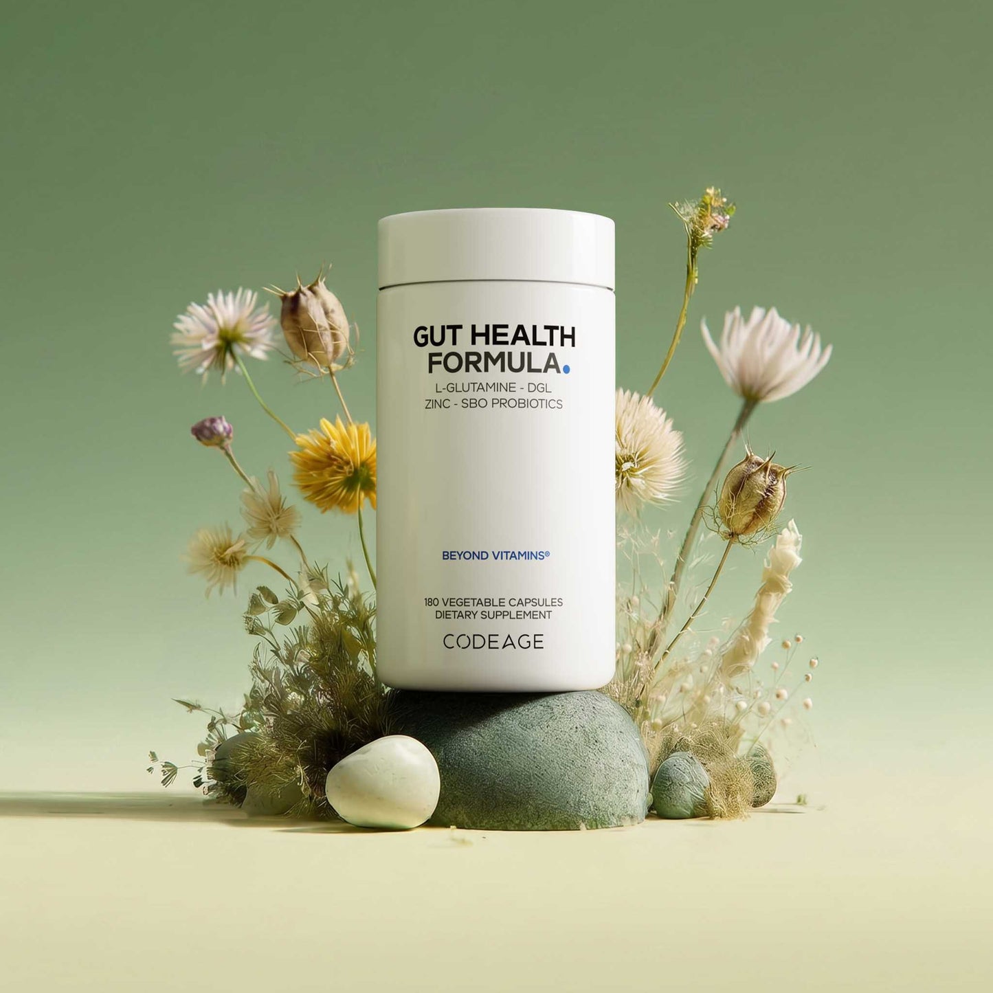 Gut Health Formula - Vegan America