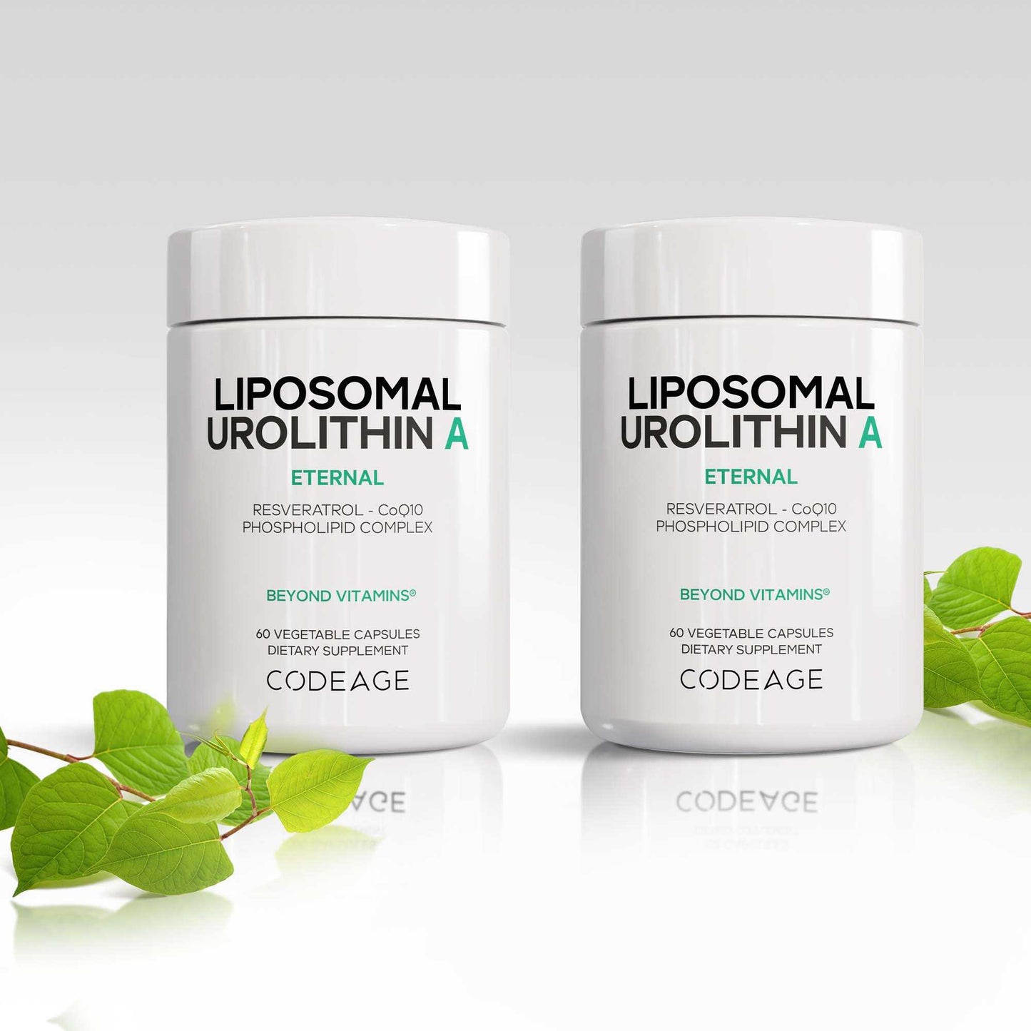 Liposomal Urolithin A