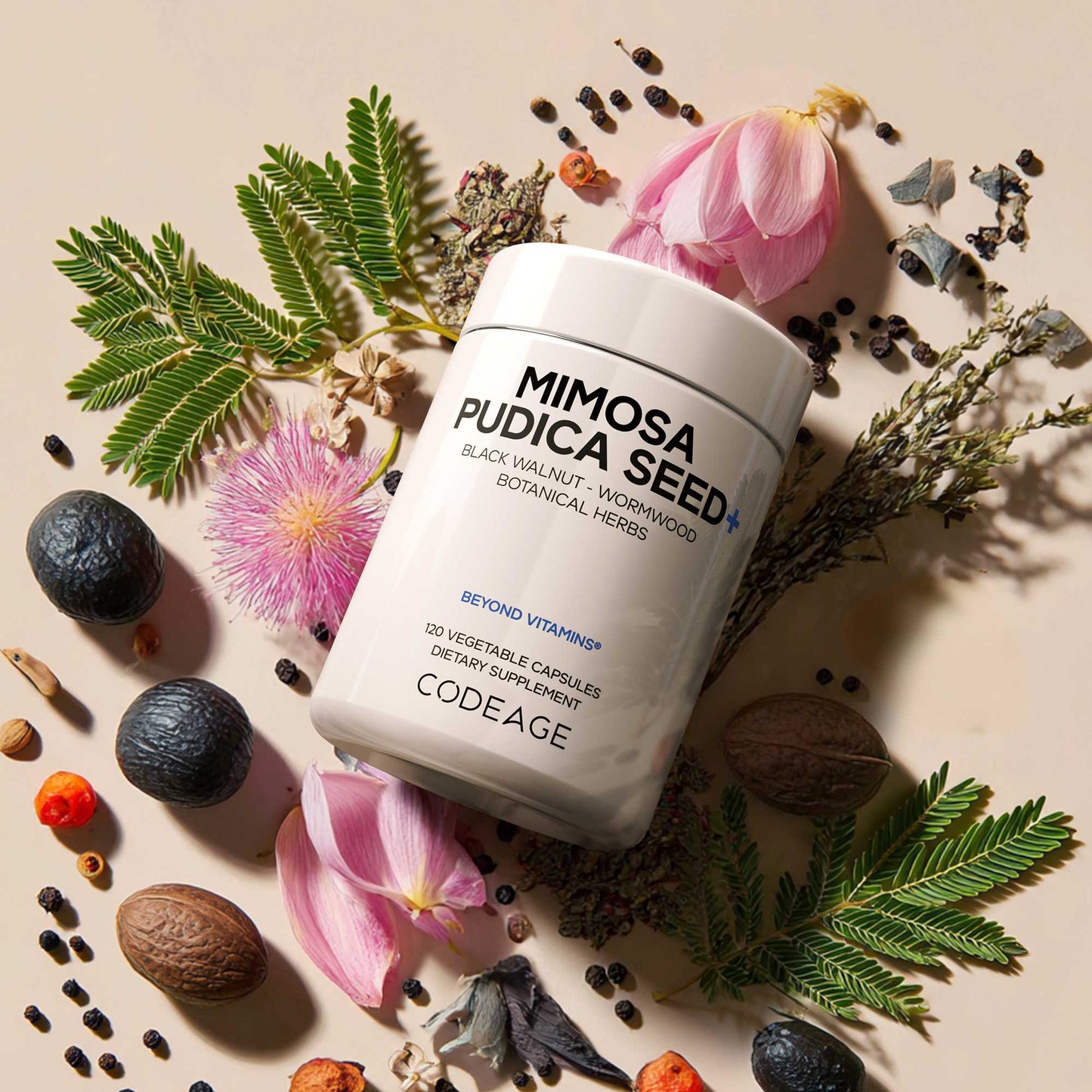 Mimosa Pudica Seed + Capsules