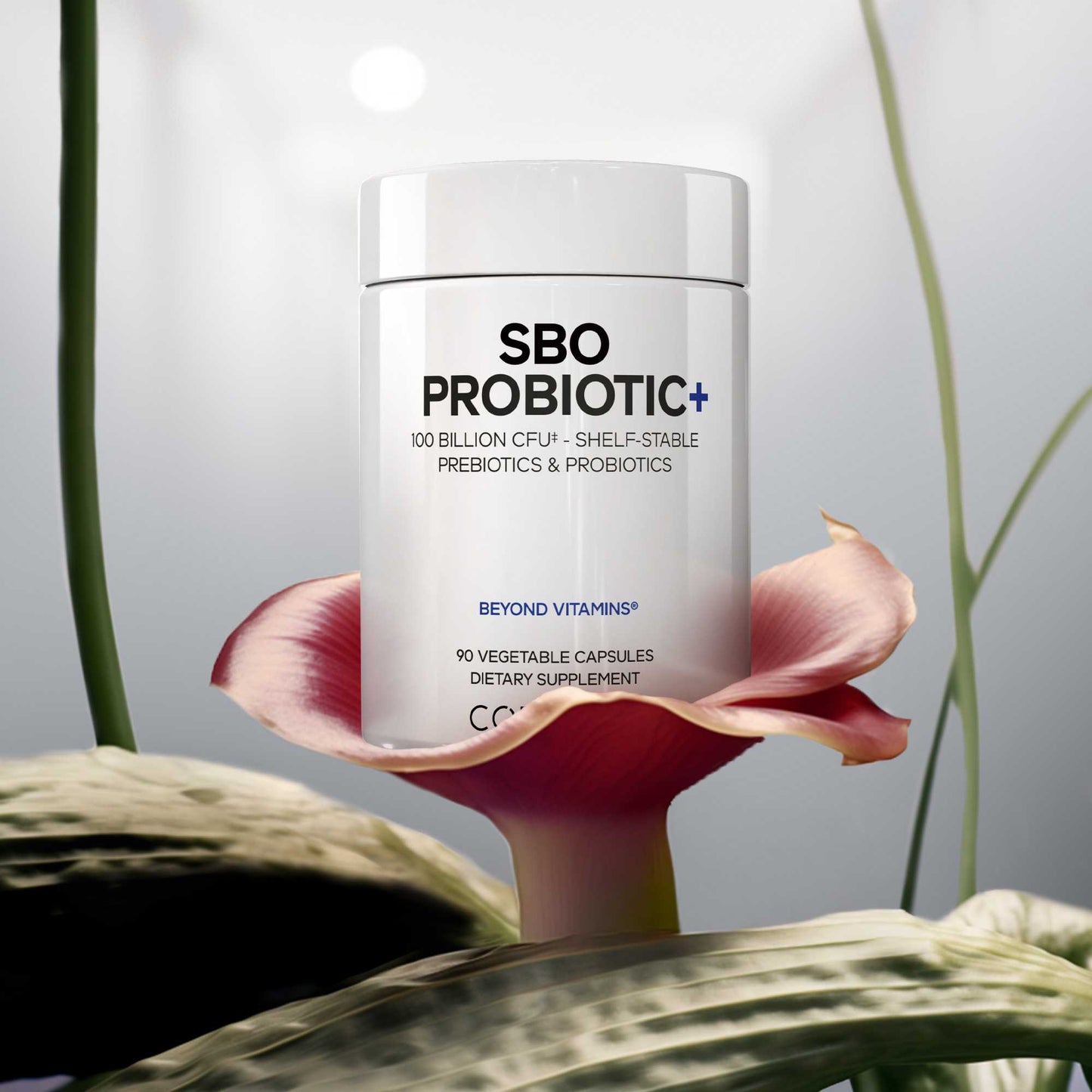 SBO Probiotic + 100 Billion CFUs