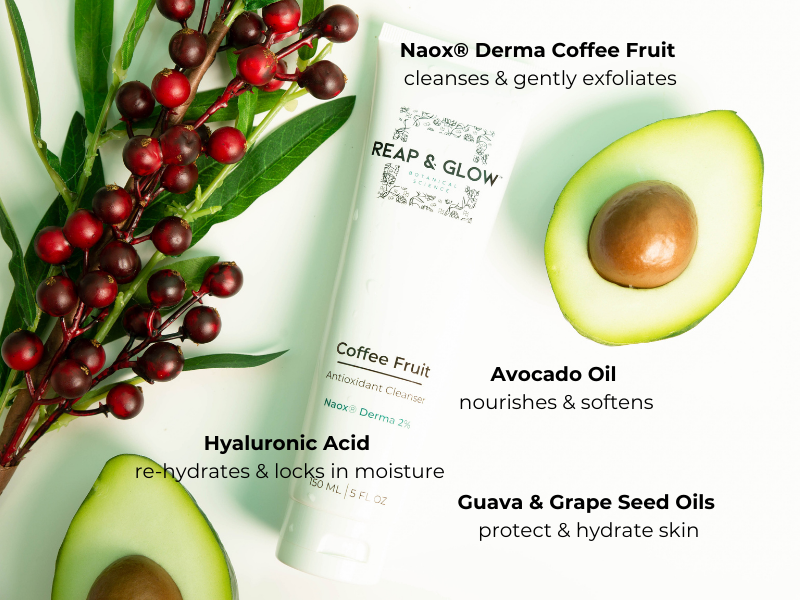Turmeric Peptide Firming & Smoothing Serum + Ayurvedic Deep  Hydrating Rejuvenation Crème + Coffee Fruit Antioxidant Cleanser
