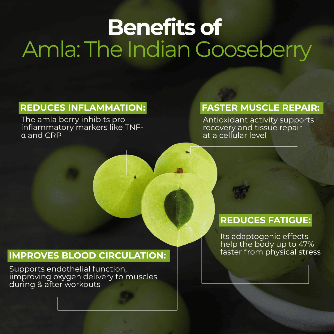 Amla Green Powdered Blends