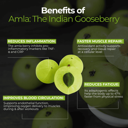 Amla Green Powdered Blends