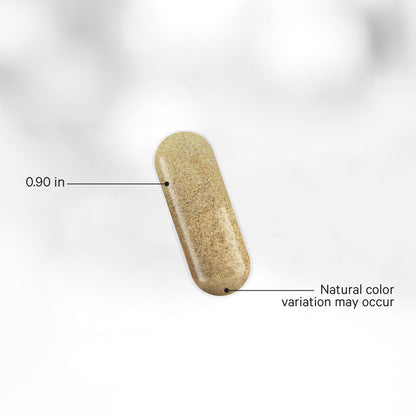 Cognitive Brainpower Platinum