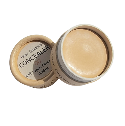 Lip + Concealer Set