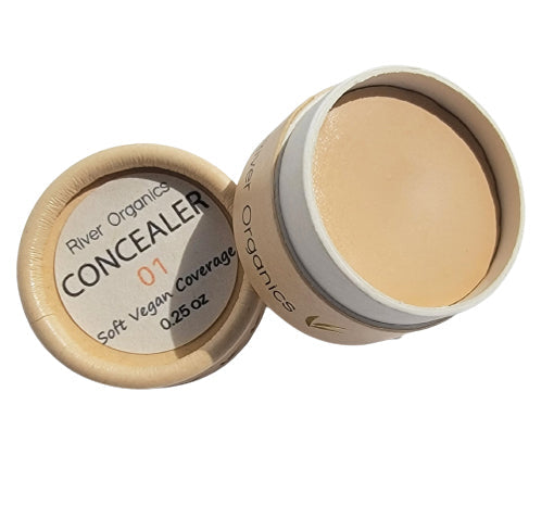 Lip + Concealer Set